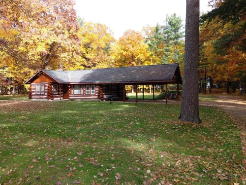 a log cabin in a park with a tree at Lake Access! Twin Birch Resort - Kodiak Cabin in Honor