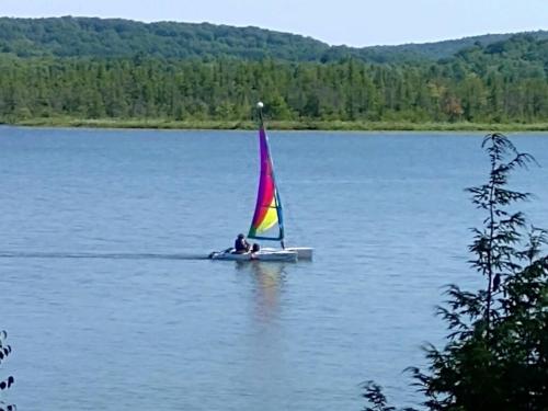 a person on a small sail boat on a lake at Lake Access! Twin Birch Resort - Kodiak Cabin in Honor
