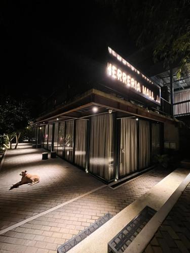 a dog laying in front of a building at night at 1 Relax, luxury room, everything you need in Salento