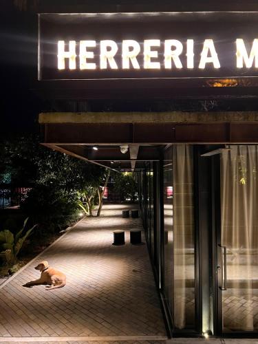 a dog laying on the sidewalk in front of a hotel at 1 Relax, luxury room, everything you need in Salento