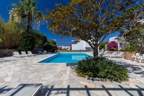 a swimming pool with a tree in a yard at Private Town Apartments by Mykonos Eight in Mýkonos City