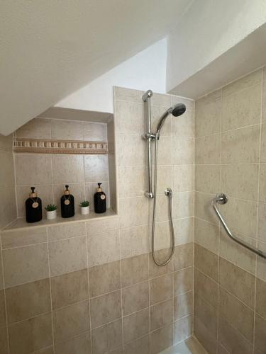 a shower stall in a bathroom with two potted plants at THdue in Golasecca