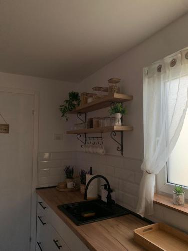 Una cocina o cocineta en Šumski Kutak