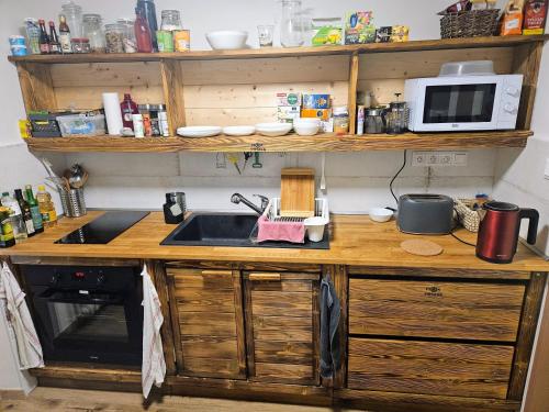 a kitchen counter with a sink and a microwave at MK Apartment Hron in Podbrezová