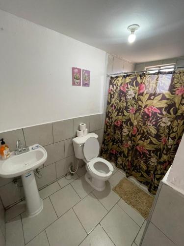 a bathroom with a toilet and a sink and a shower curtain at GR20acd Corredor Comercial in Cuauhtémoc