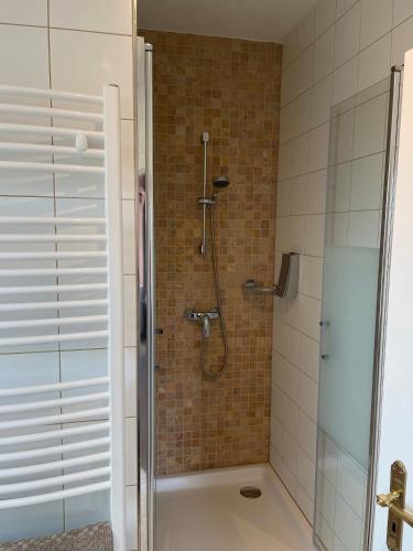 a shower with a glass door in a bathroom at Wallblick Apartments Gardelegen in Gardelegen