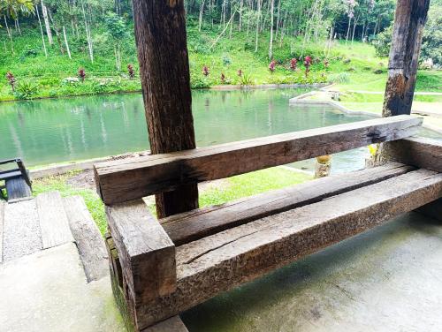 a wooden bench sitting in front of a pond at Refúgio Atlântico in Mogi das Cruzes