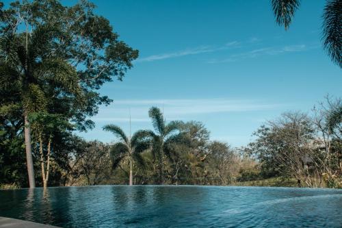 a swimming pool with palm trees in the background at Mikado Natural Lodge in Playa Avellana
