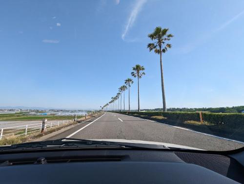 a view of a road with palm trees from a car at Kaeda Terrace - Vacation STAY 69516v in Miyazaki
