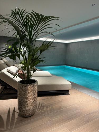 a potted plant in a room with a swimming pool at Eilandhotel Texel - Nieuw geopend hotel in De Cocksdorp