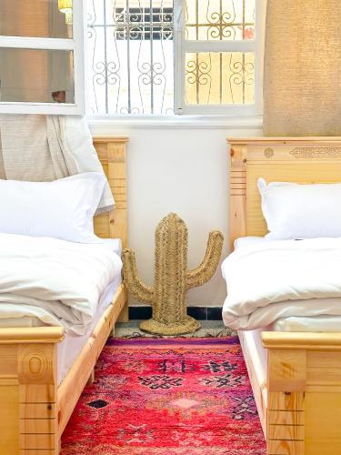 a room with two beds and a cactus in it at Single bed - Cozy dormitory - Surf territory in Agadir