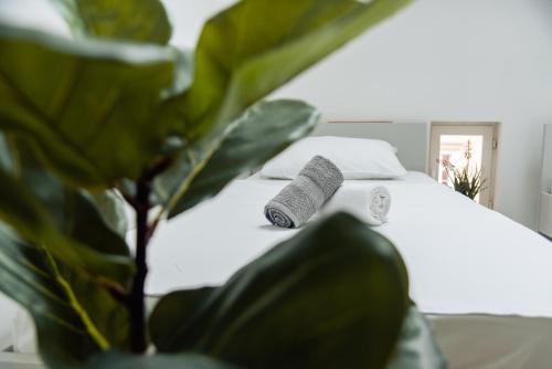 ザグレブにあるDowntown Zagreb Budget Roomsのギャラリーの写真
