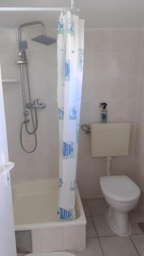 a bathroom with a toilet and a shower curtain at Apartment Dobri in Batalaži