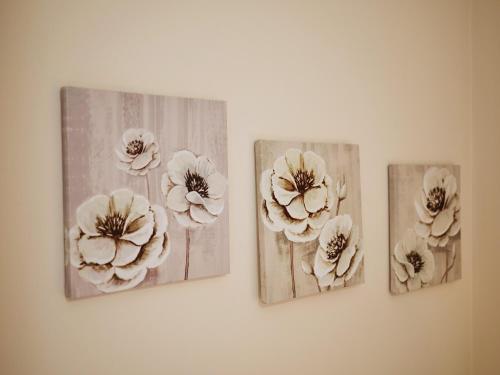 four pictures of flowers hanging on a wall at Olive Heaven in Kalamata