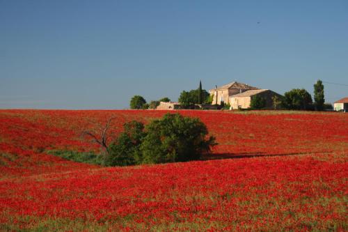 farmhouse in clos de la tuilerie