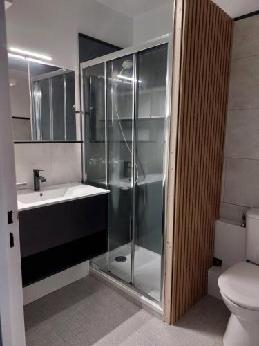 une salle de bain avec une douche, un lavabo et des toilettes dans l'établissement Appart bord de mer, piscine et clim, à Carnon-Plage