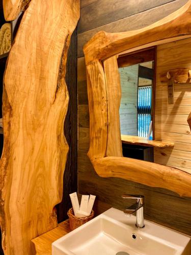 a bathroom with a sink and a mirror at NI-NEWEN Hotel & Lodge in Pucón