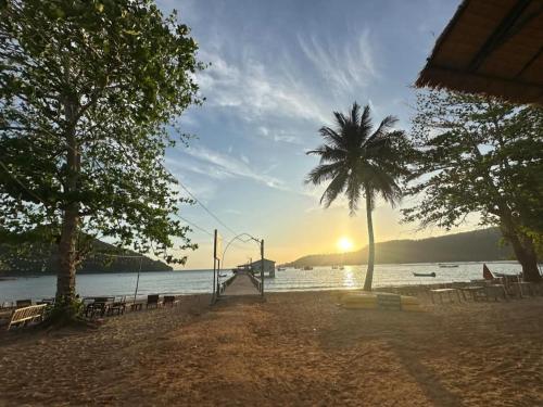 a palm tree on a beach with the sun setting at Sophea's guesthouse in Kaôh Kon
