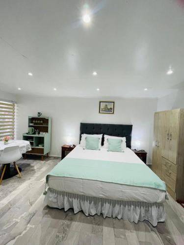 a bedroom with a large bed and a desk at Casa Torino in Santiago