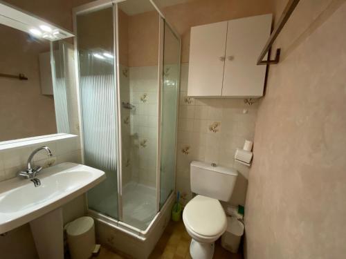 une salle de bain avec une douche, des toilettes et un lavabo dans l'établissement Appartement calme avec balcon, animaux admis, proche Thermes - FR-1-503-183, à Balaruc-les-Bains