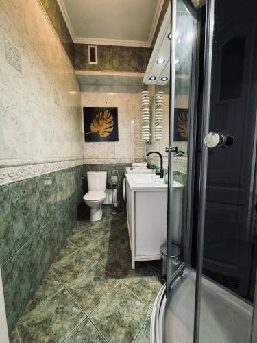 a bathroom with a toilet and a sink and a shower at Wroclaw Inn Apartments in Wrocław
