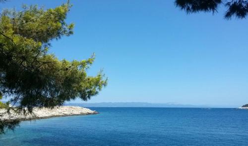 a view of a large body of water at Apartments Livia in Lastovo