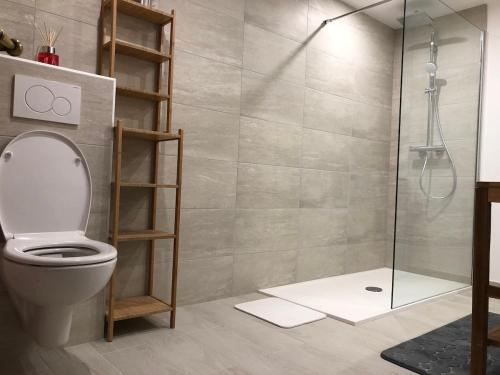 une salle de bain avec toilettes et douche dans l'établissement Le Nid de Victor, à Kaysersberg