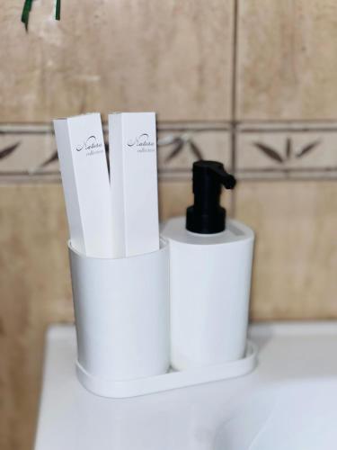 two rolls of toilet paper sitting on top of a sink at Ajman holiday home in Ajman 
