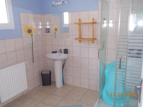 y baño con lavabo y ducha. en Gite Louis, en Saint-Paul-des-Fonts