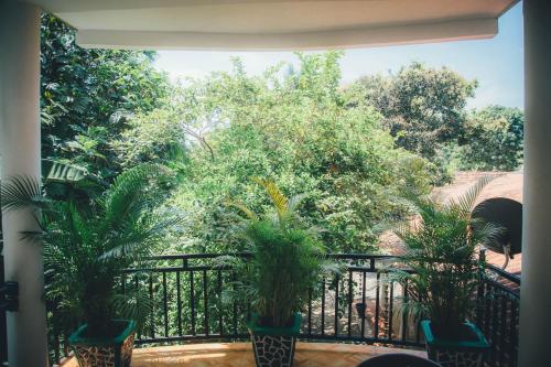 a balcony with two palm trees and a fence at Gin Green Villa in Galle