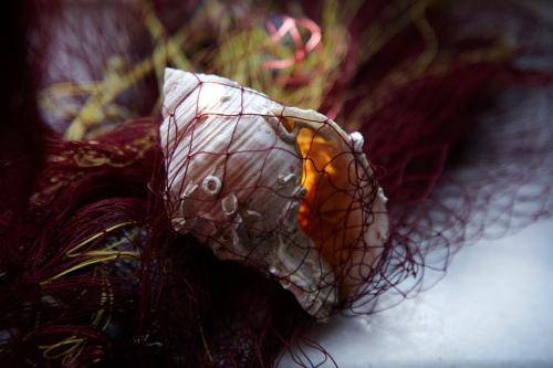 a close up of a wrapped up object at Evoikos beach & resort in Livanátai