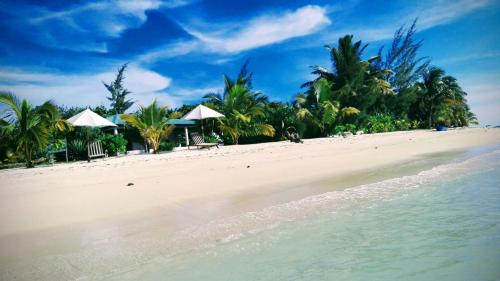 a beach with chairs and trees and the water at Residence Monique in Ile aux Nattes