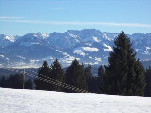 einen schneebedeckten Hügel mit Bäumen und Bergen im Hintergrund in der Unterkunft Haus Ritter in Missen-Wilhams