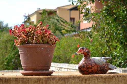 a rubber duck sitting next to a potted plant at Alkyon Villas in Sivota