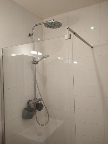 une douche avec une porte vitrée dans une salle de bain dans l'établissement Appartement au cœur de Poitiers, à Poitiers