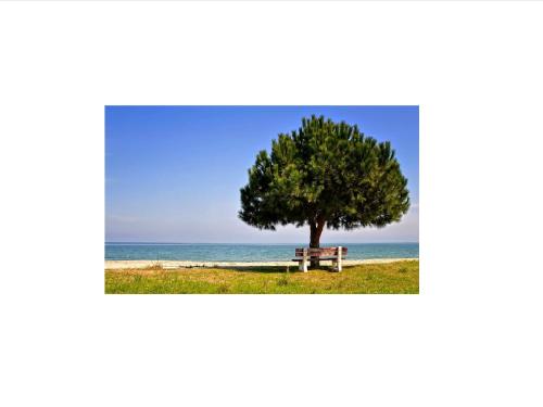 Φωτογραφία από το άλμπουμ του Ξενοδοχείο Λεύκες στην Παραλία Σκοτίνης