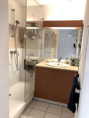une salle de bain avec douche et lavabo dans l'établissement Les pieds dans l'eau T2 cabine avec vue mer et Piscine, à Sète