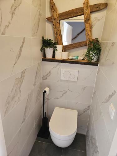 a bathroom with a toilet and a mirror at Have a nice stay! - North Sea Home in Noordwijk aan Zee