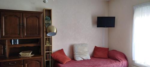 - un salon avec un canapé et des oreillers rouges dans l'établissement Le Petit HERMITAGE - Gite 4 pers, à Massiac