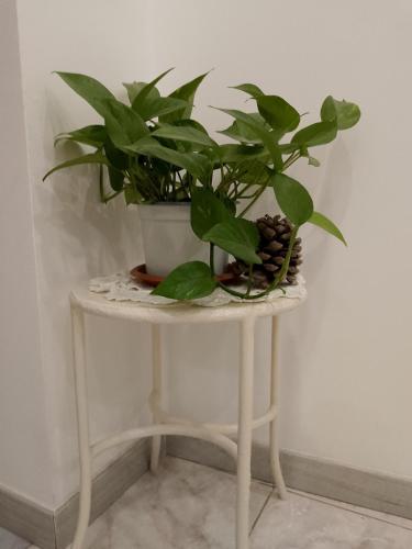 Gambar di galeri bagi Le Casette di Nonna Rosa in Fontanarossa Catania Airport di Catania