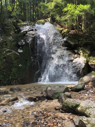 a waterfall in the middle of a forest at 古民家アドベンチャー in Ena
