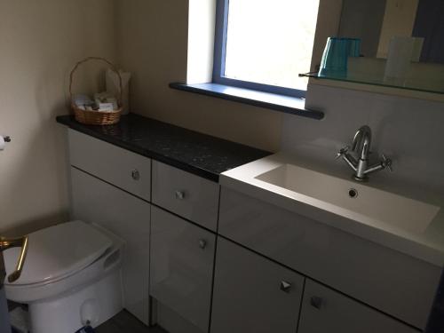 a bathroom with a sink and a toilet and a window at Kingswood Cottage in Lyndhurst