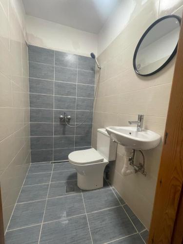 a bathroom with a toilet and a sink and a mirror at Exohi apartments in Nea Vrasna