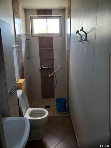 La salle de bains est pourvue de toilettes, d'une douche et d'une fenêtre. dans l'établissement Maison 6 couchages, à Bellevesvre