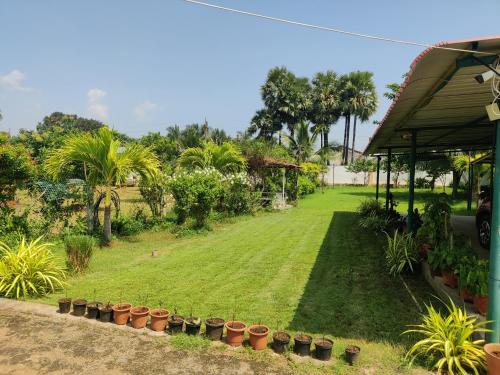 une cour avec des plantes en pot dans une cour dans l'établissement Sivarama gaeden resort 5 star stay & swimming pool room no 5 bheemunipatbam beach road to dorathota road, à Bhīmunipatnam