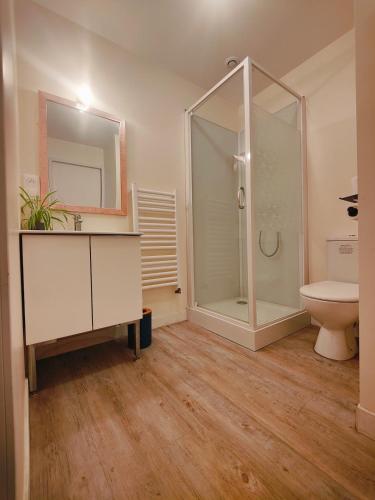 une salle de bain avec douche et toilettes dans l'établissement cozy little studio, à Plounéour-Trez