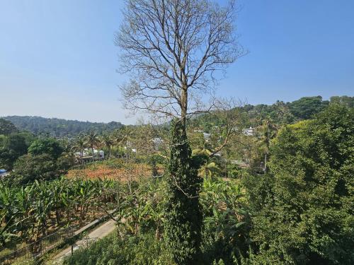 Paisaje cerca de este hotel