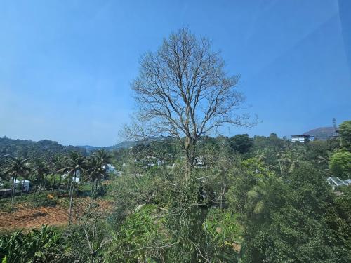Paisaje cerca de este hotel