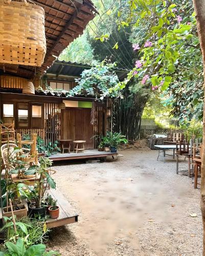 Κήπος έξω από το Mellow Haus Suthep