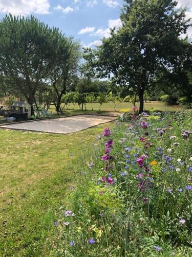 a field of flowers in a park with trees at Chambre d'hôtes L'altitude - Domaine la Rose des vents in Castelnau-sur-lʼAuvignon